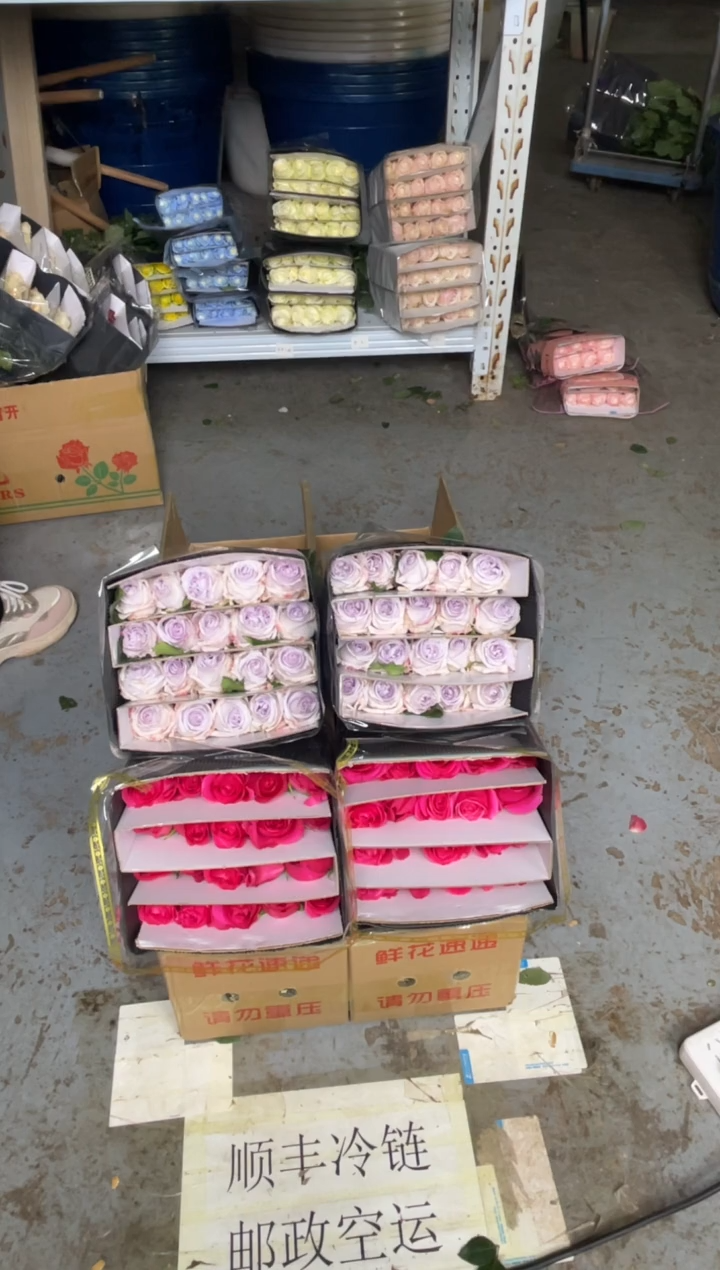 佛洛依德20枝+紫荔枝20枝