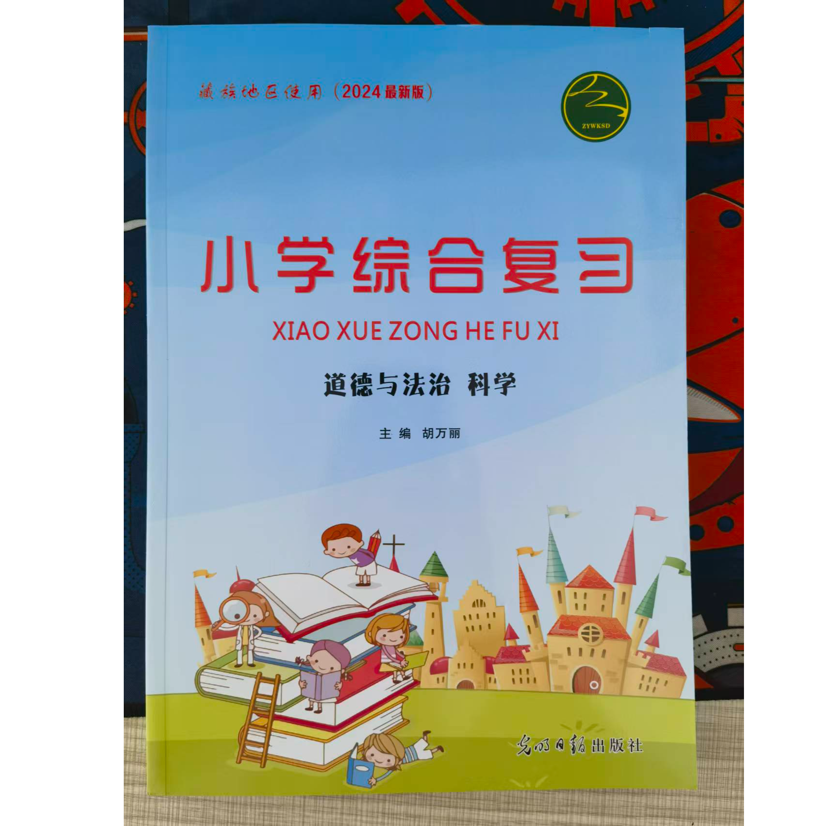 2024版小学综合总复习