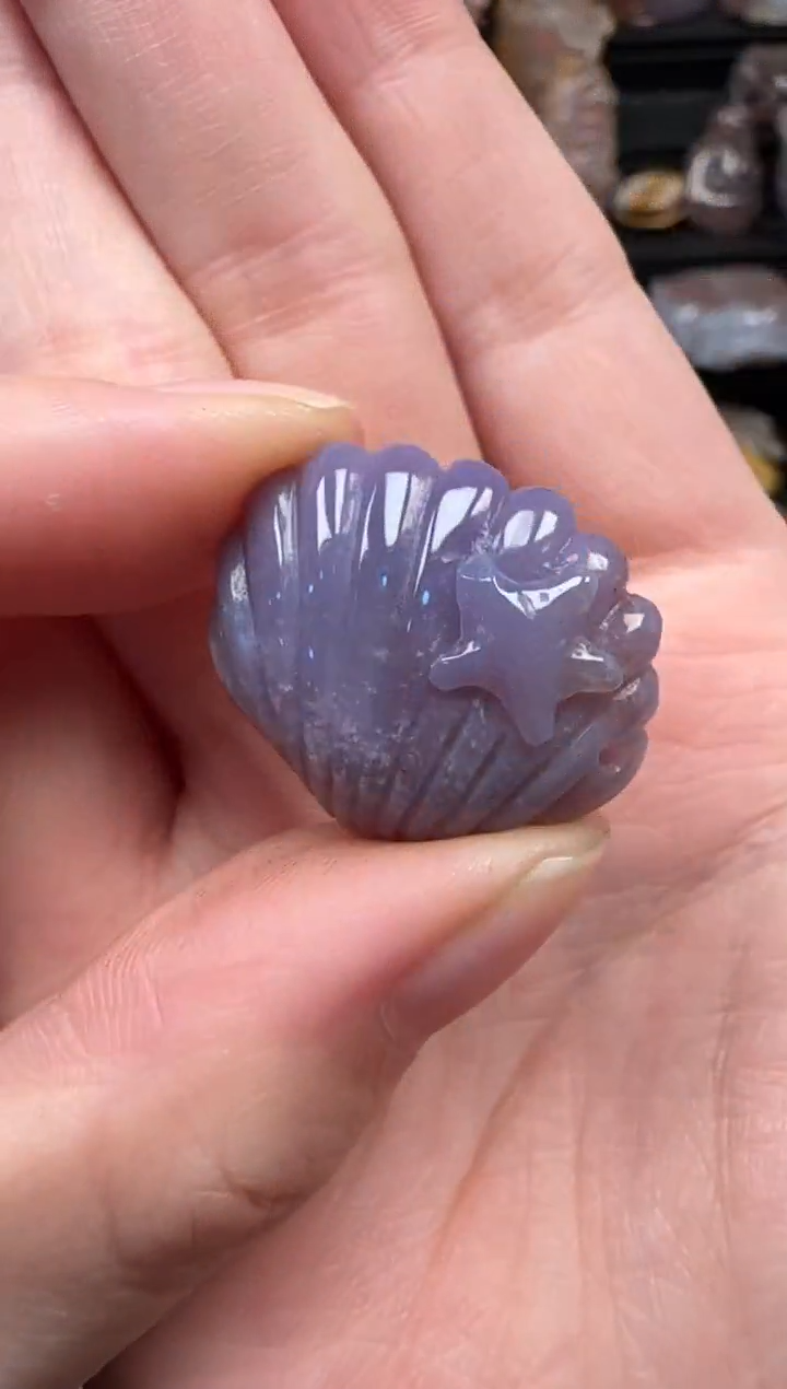 颈饰未镶嵌硅化珊瑚（珊瑚玉）190