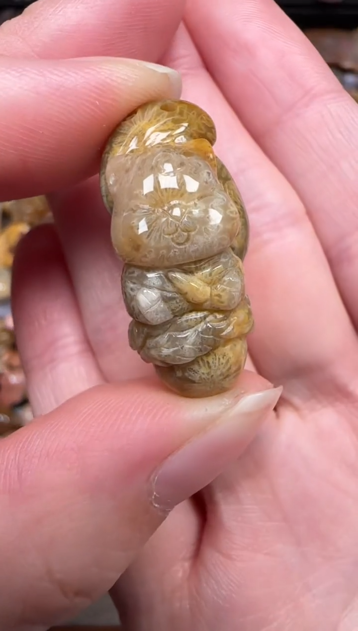 颈饰未镶嵌硅化珊瑚（珊瑚玉）197
