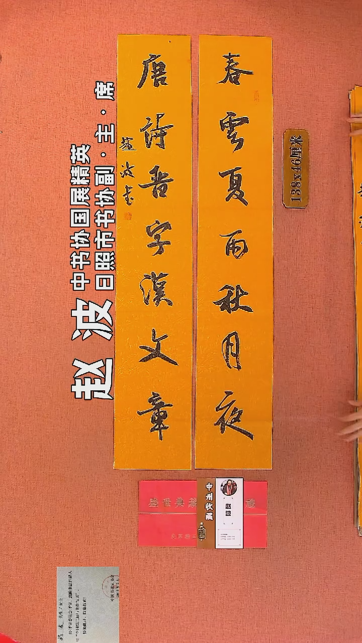 【闪购商品】书法43         赵波老师作品