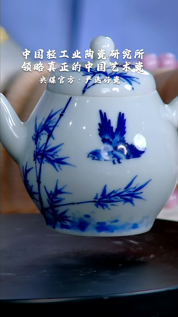 【闪购商品】瓷片陶瓷研究所   流水76