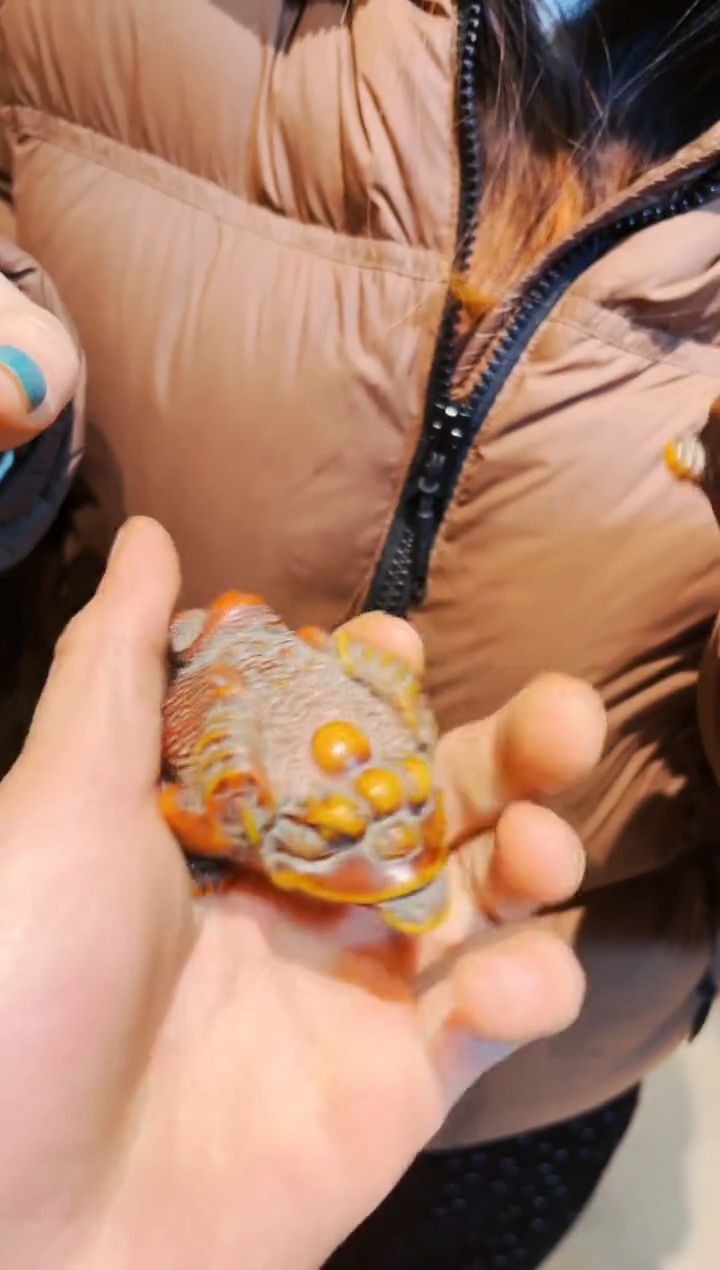 【闪购商品】蜜蜡颈饰未镶嵌七七七七七七七七七79