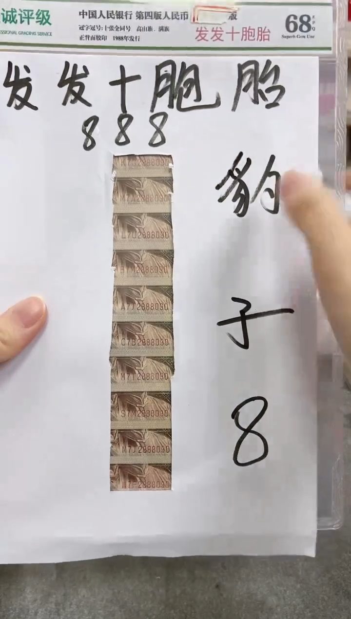 【发发十胞胎】01.全部豹子888 十胞胎！