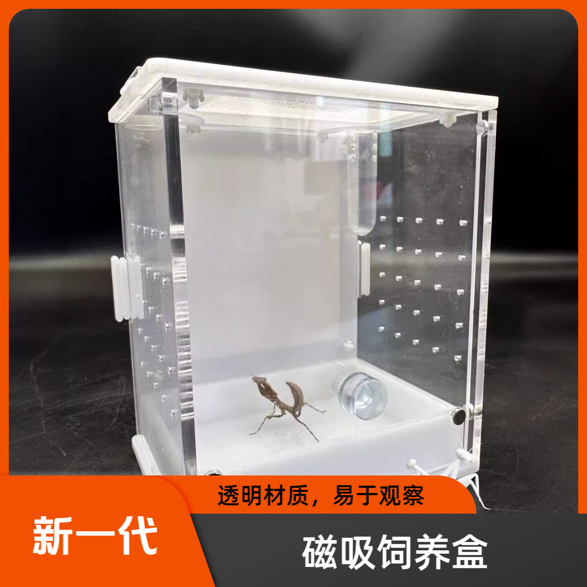 螳螂饲养盒磁吸开门造景活体昆虫树蛙爬虫鸣虫跳蛛宠物饲养盒