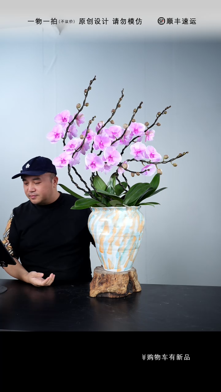 【闪购商品】133号链接【一物一拍】艺术盆景
