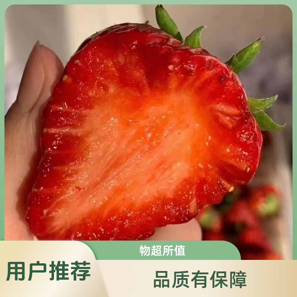 红颜草莓中果一盆2斤装