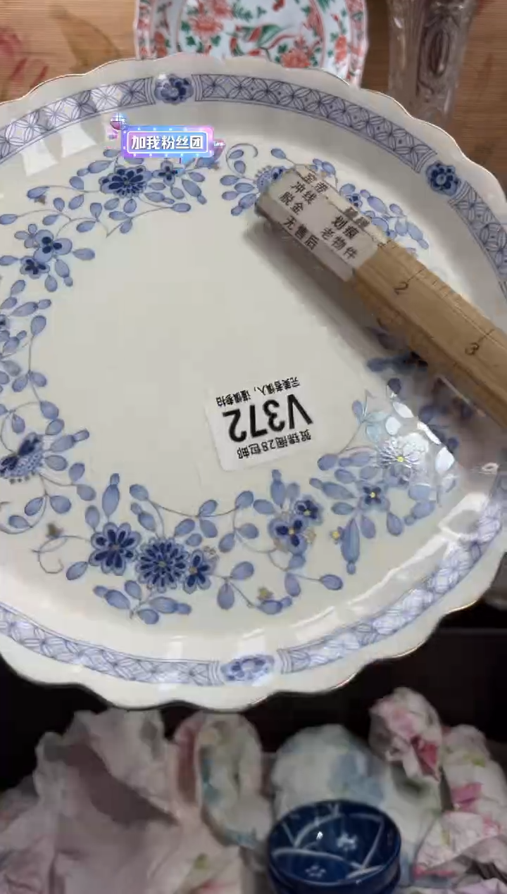 瓷片瓜*       V372