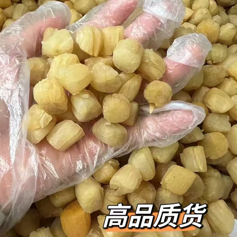 大连淡干干贝瑶柱  精选靓货