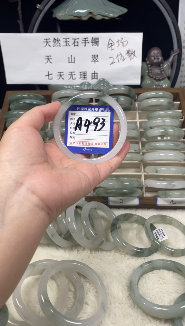石英质玉（天山翠）手镯未镶嵌A493