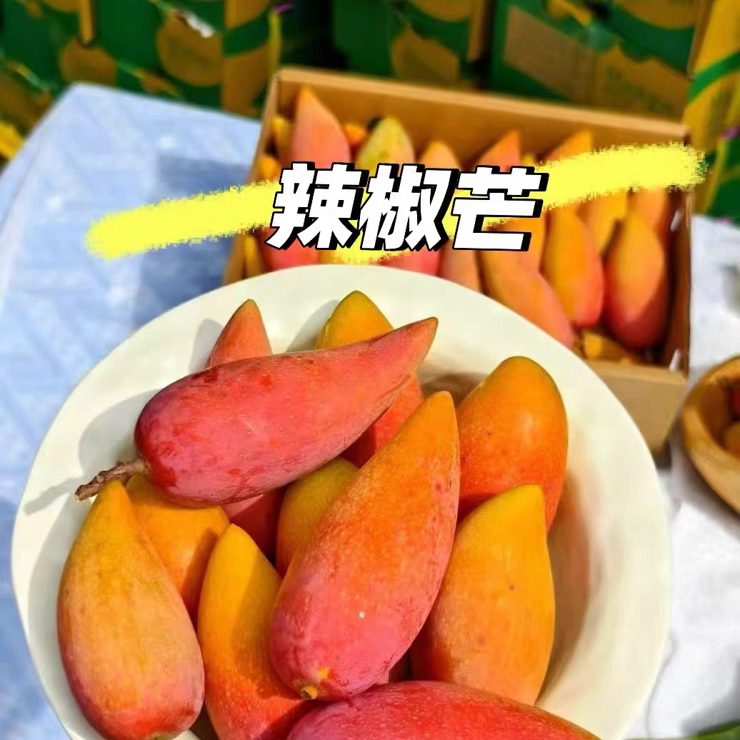 【京东次日达】辣椒芒 一箱 4斤装天津市