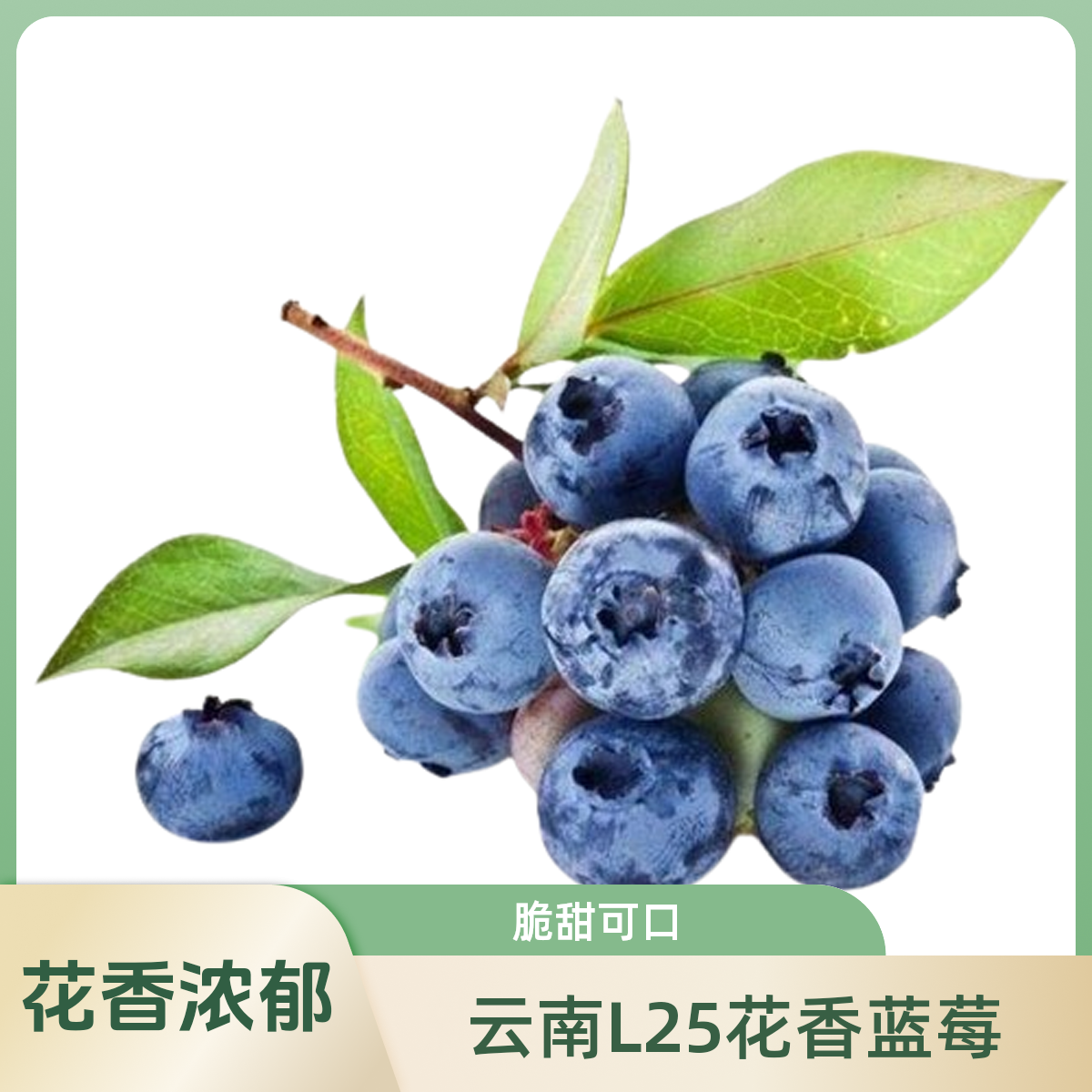 云南L25花香蓝莓18＋大果花香浓郁4/8/12盒