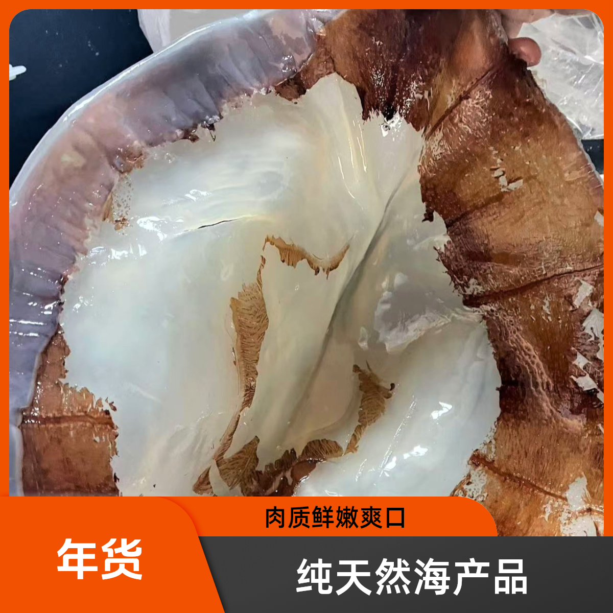 新鲜野生海蜇皮鲜脆爽口新货上新 年货福利桶装批发五斤