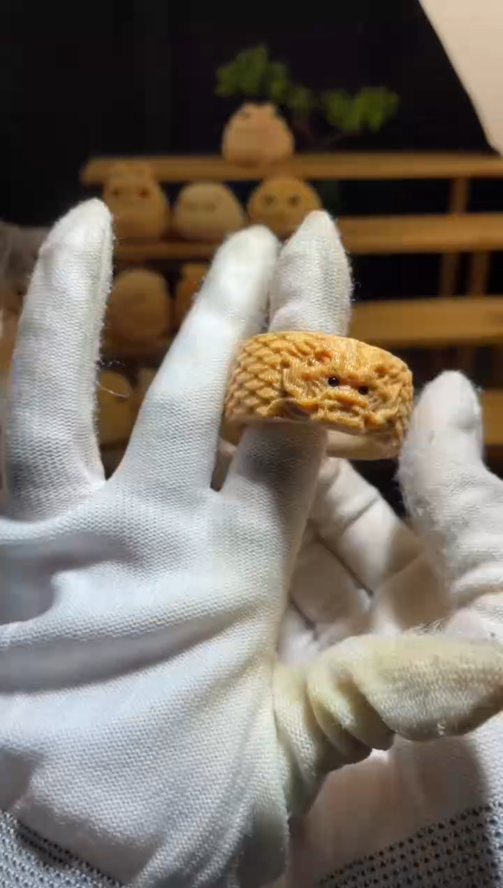 竹盘龙环11111111111111