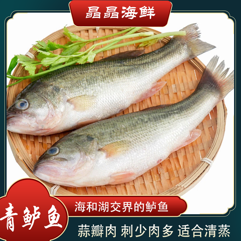 【青鲈鱼】新鲜青鲈鱼清蒸鱼原生态淡水嫩鲈鱼蒜瓣肉