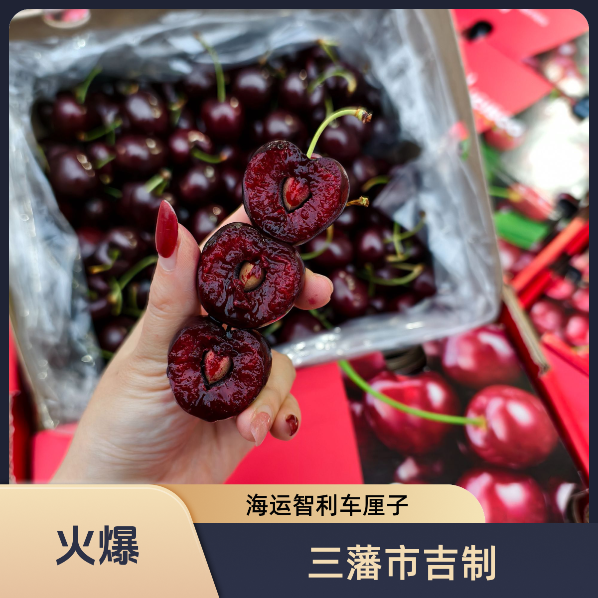 依依【韩美丽】三藩市吉制海运4J桑提娜车厘子 爽甜多汁 内附果径卡