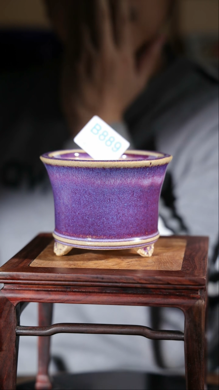 【闪购商品】红陶889