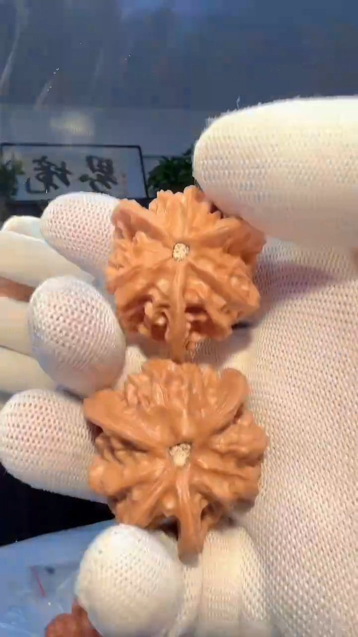 大叶紫檀（黑酸枝木类）013 三棱39