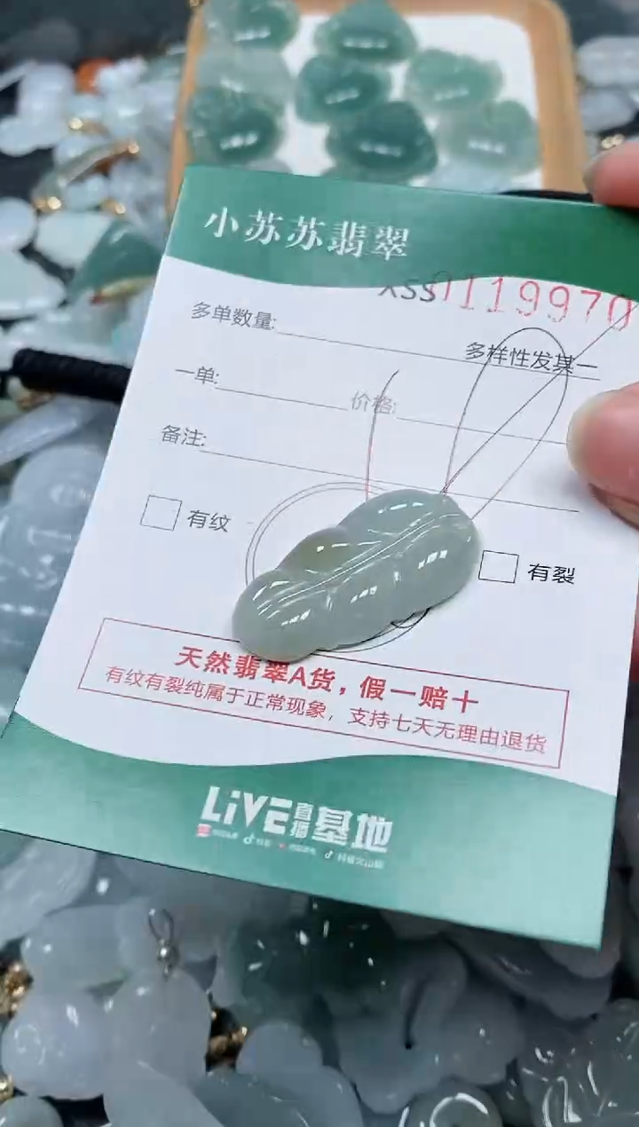 【闪购商品】翡翠颈饰未镶嵌闪购商品0119970