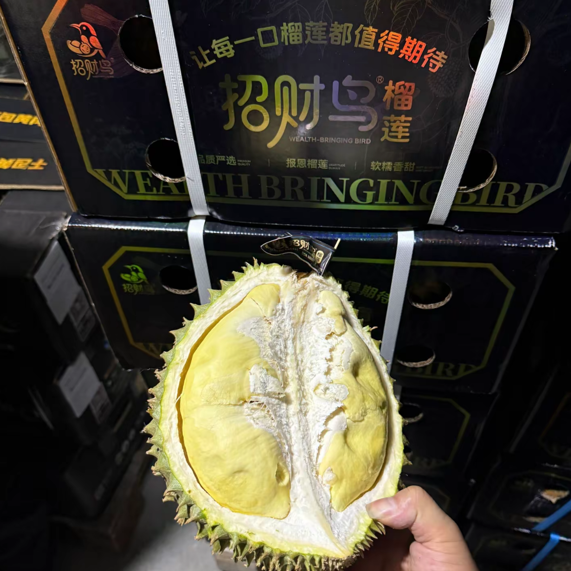 [“招财鸟”空运 1228] 泰国金枕鲜榴莲核小3斤-5斤金枕泰国南部