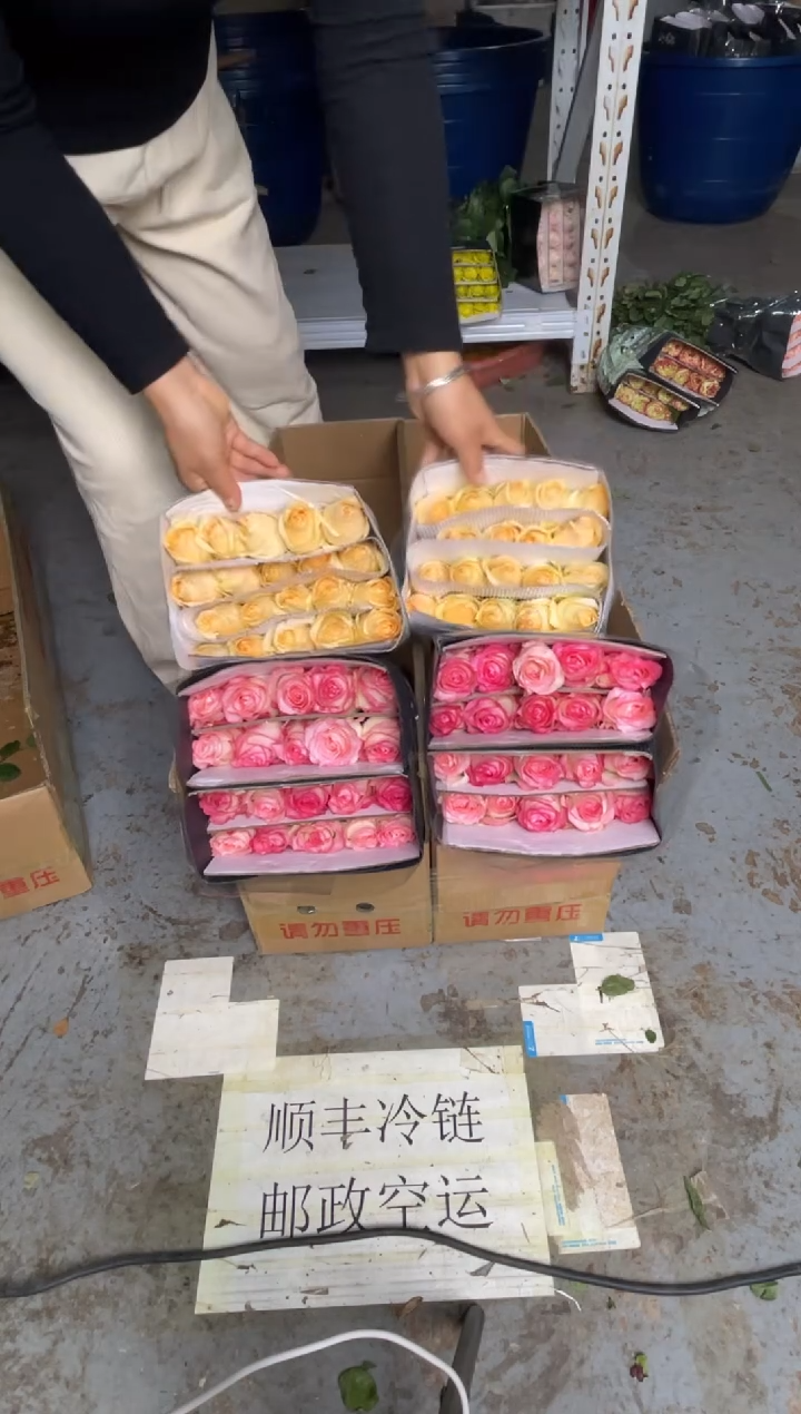 艾沙20枝+香槟20枝