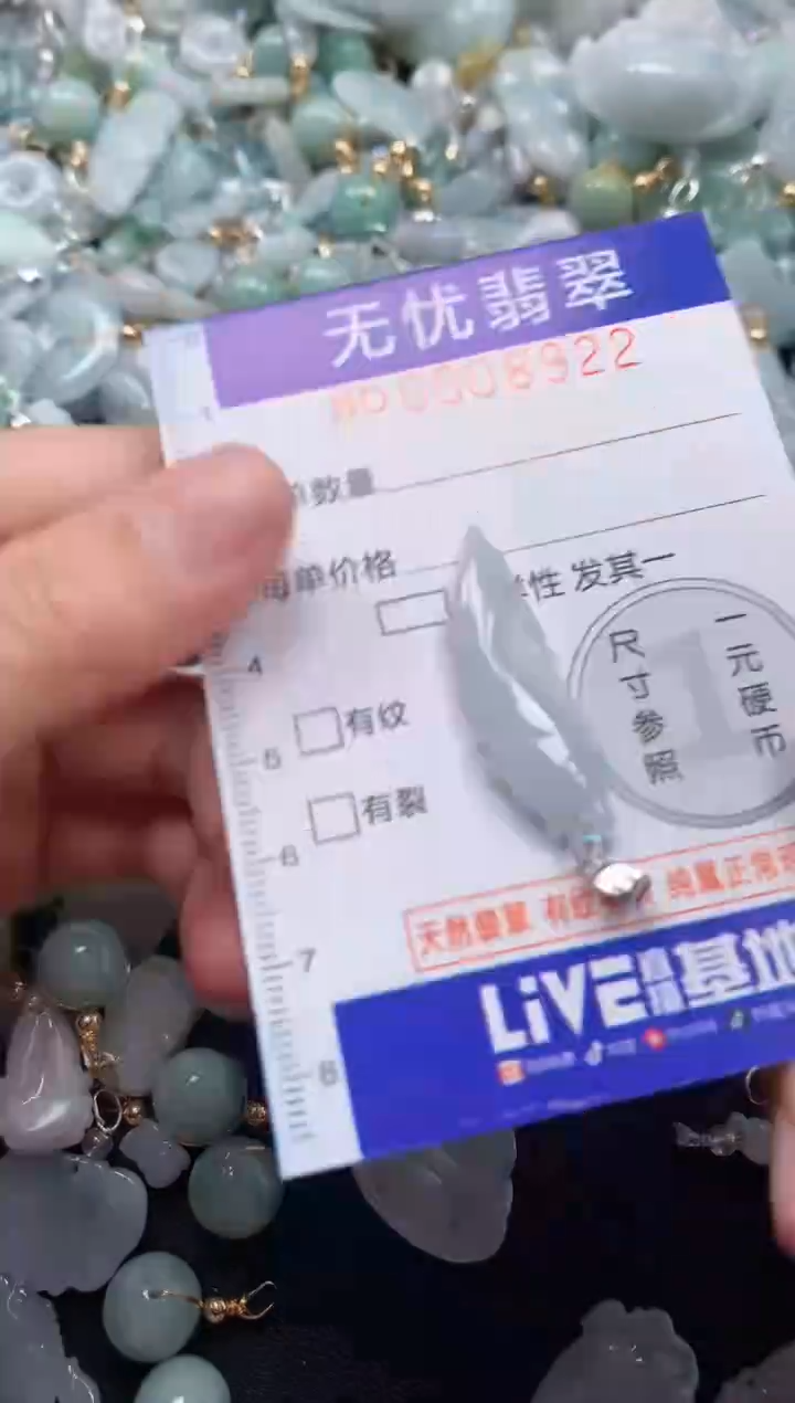 颈饰未镶嵌翡翠8922