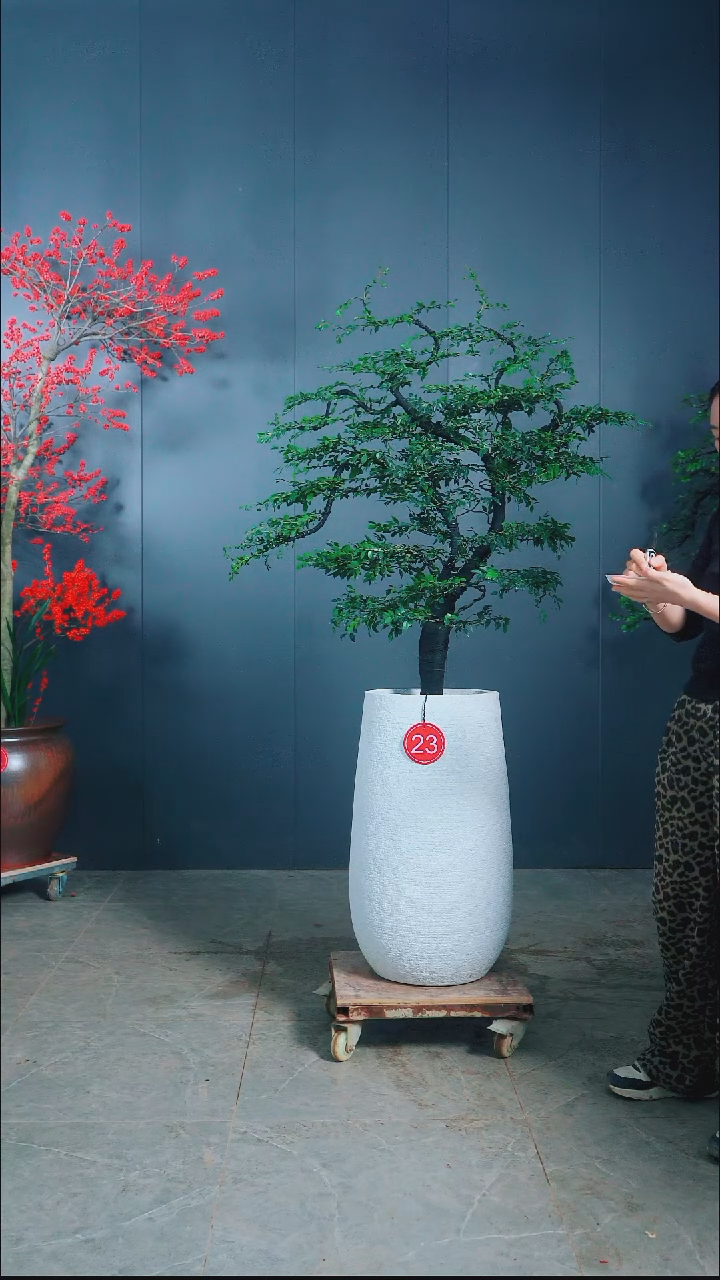 无花朵上**水广东小叶紫檀.23号