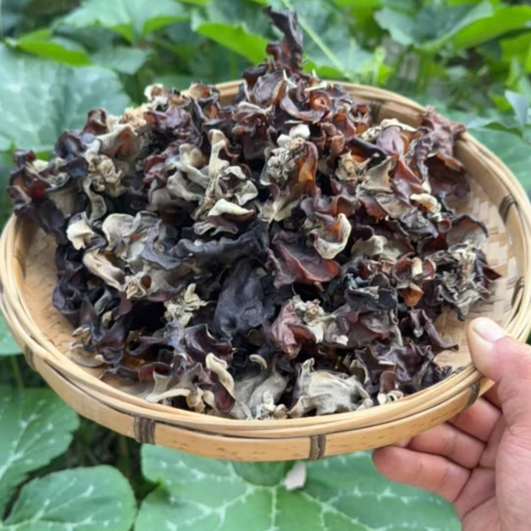湖南深山特产头茬毛木耳脆嫩爽口自然晾晒干货木耳