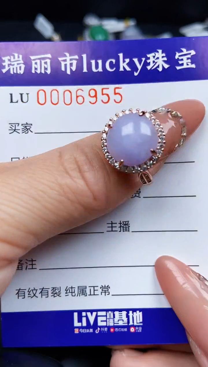 翡翠银S925镶嵌颈饰6955