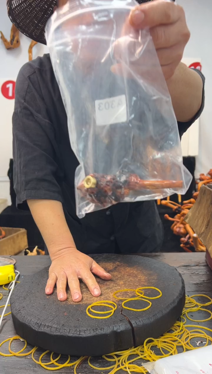 黑果木其他黑果木510