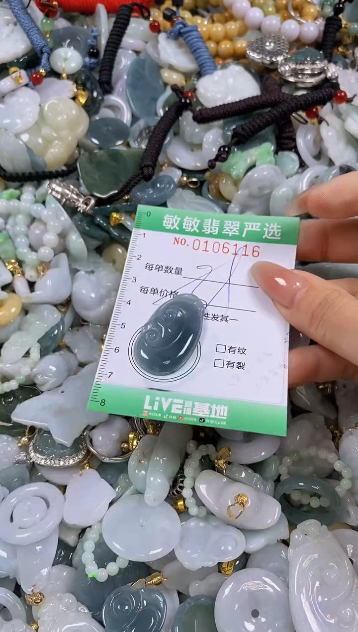 【闪购商品】翡翠颈饰未镶嵌闪购0106116多样性发其一