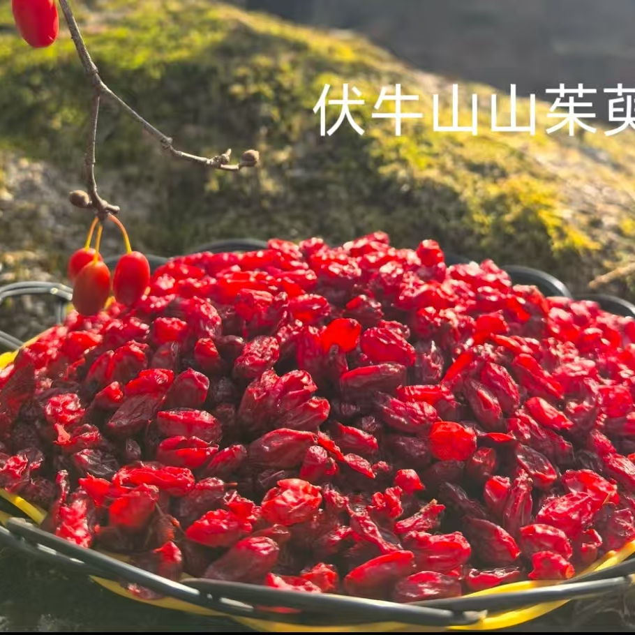 伏牛山山茱萸 山萸肉（枣皮）正宗无核干货  可泡水泡酒直接食用