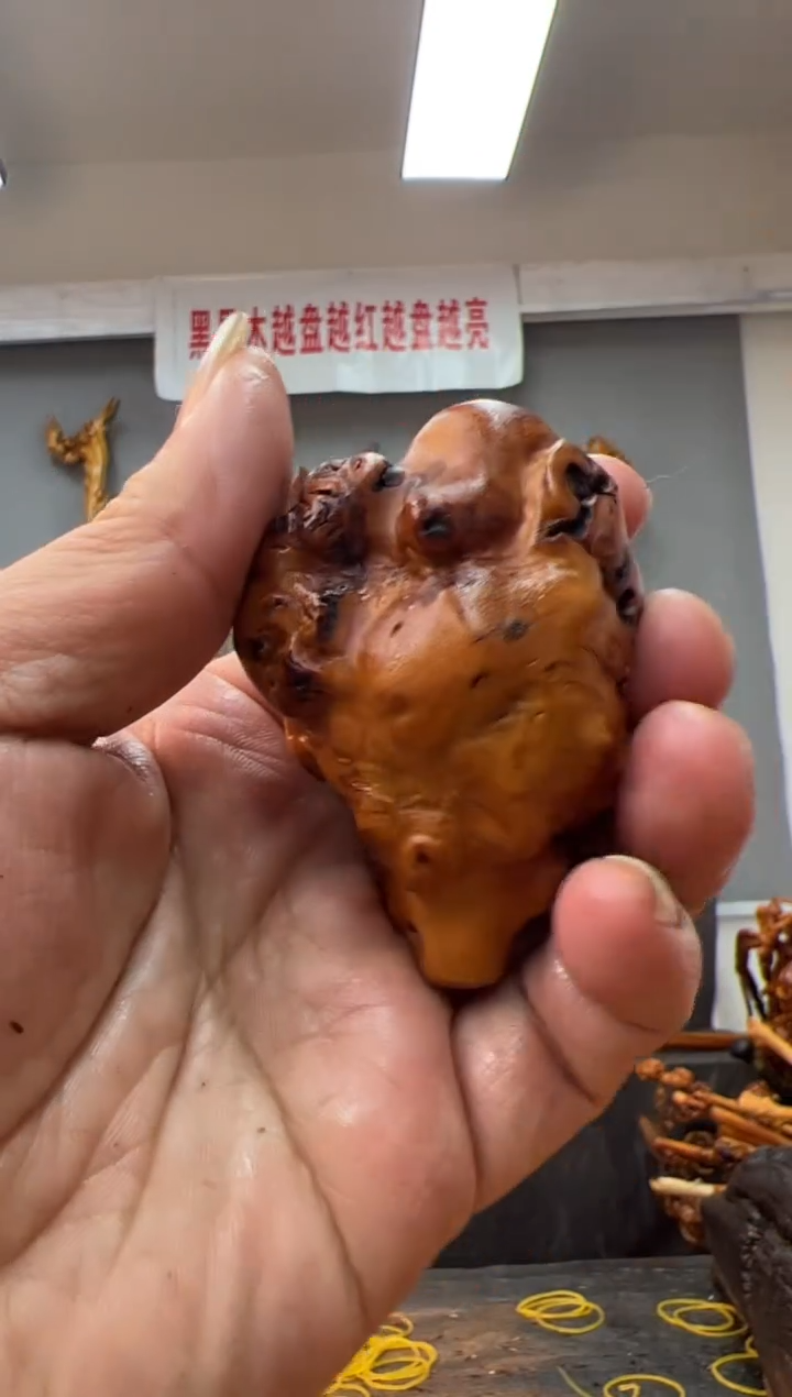 【闪购商品】黑果木其他黑果木172