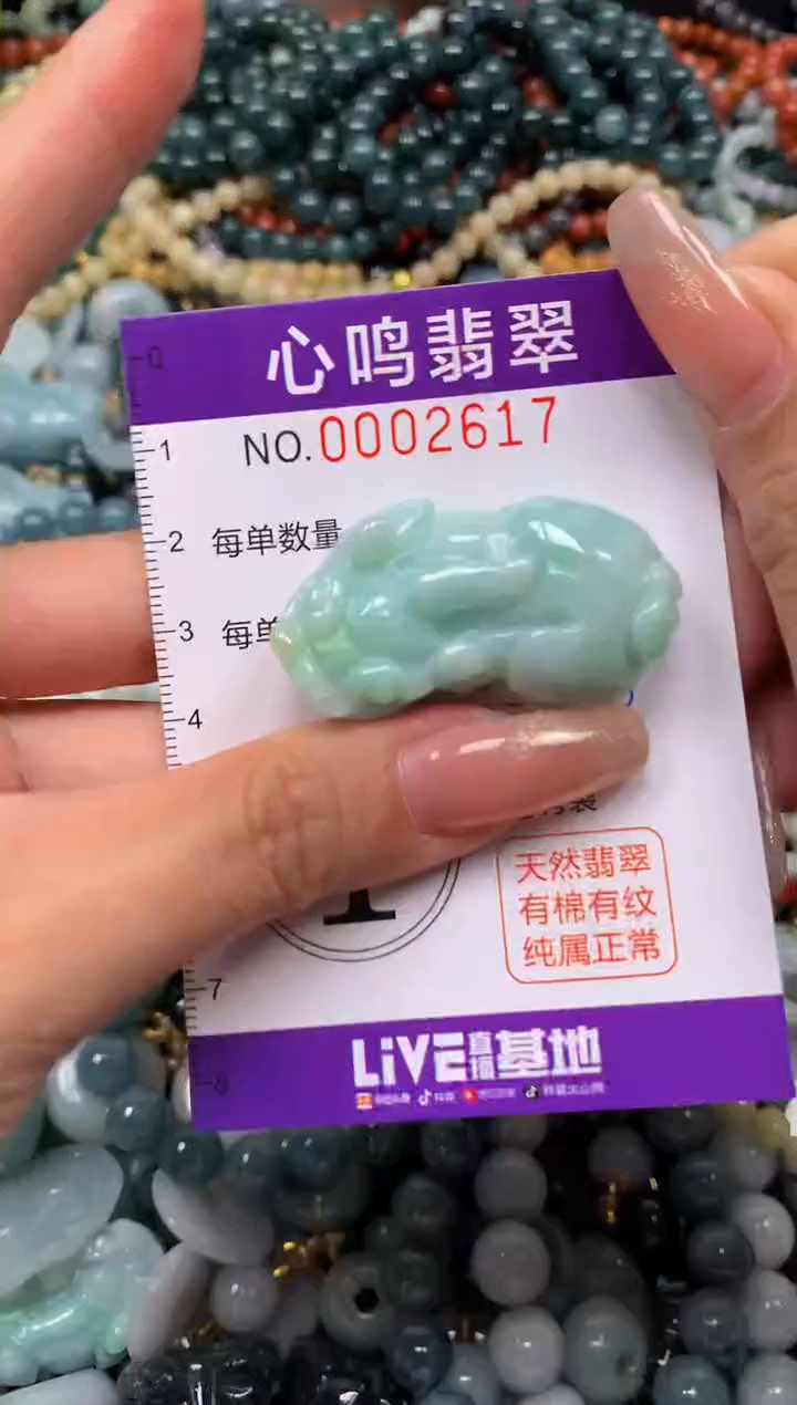 颈饰未镶嵌翡翠闪购002617