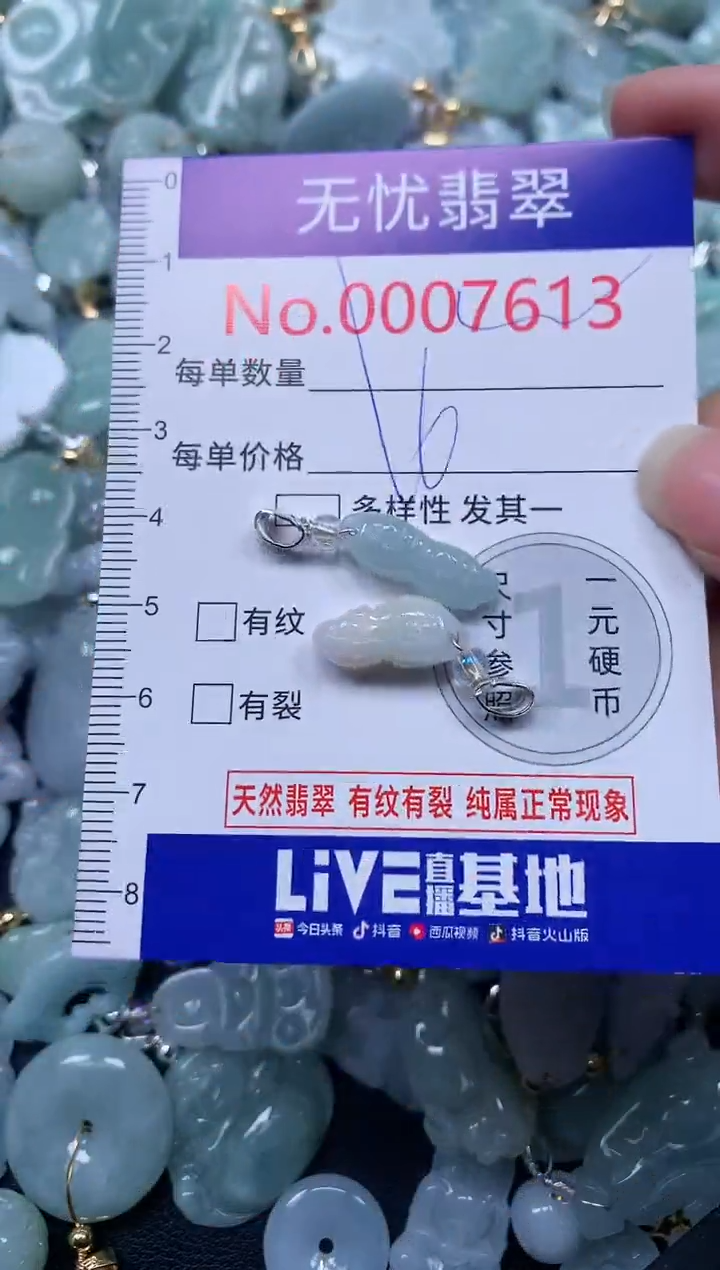 颈饰未镶嵌翡翠7613