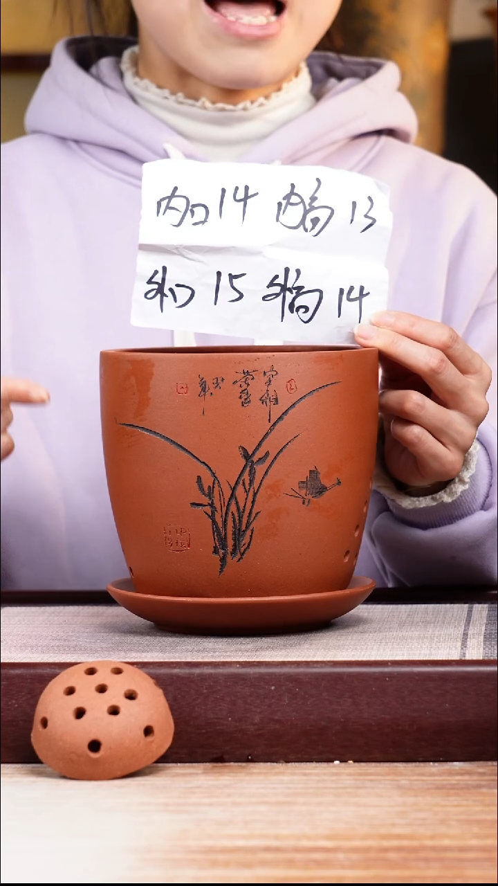 紫砂花盆清水泥君子兰2号一只带托