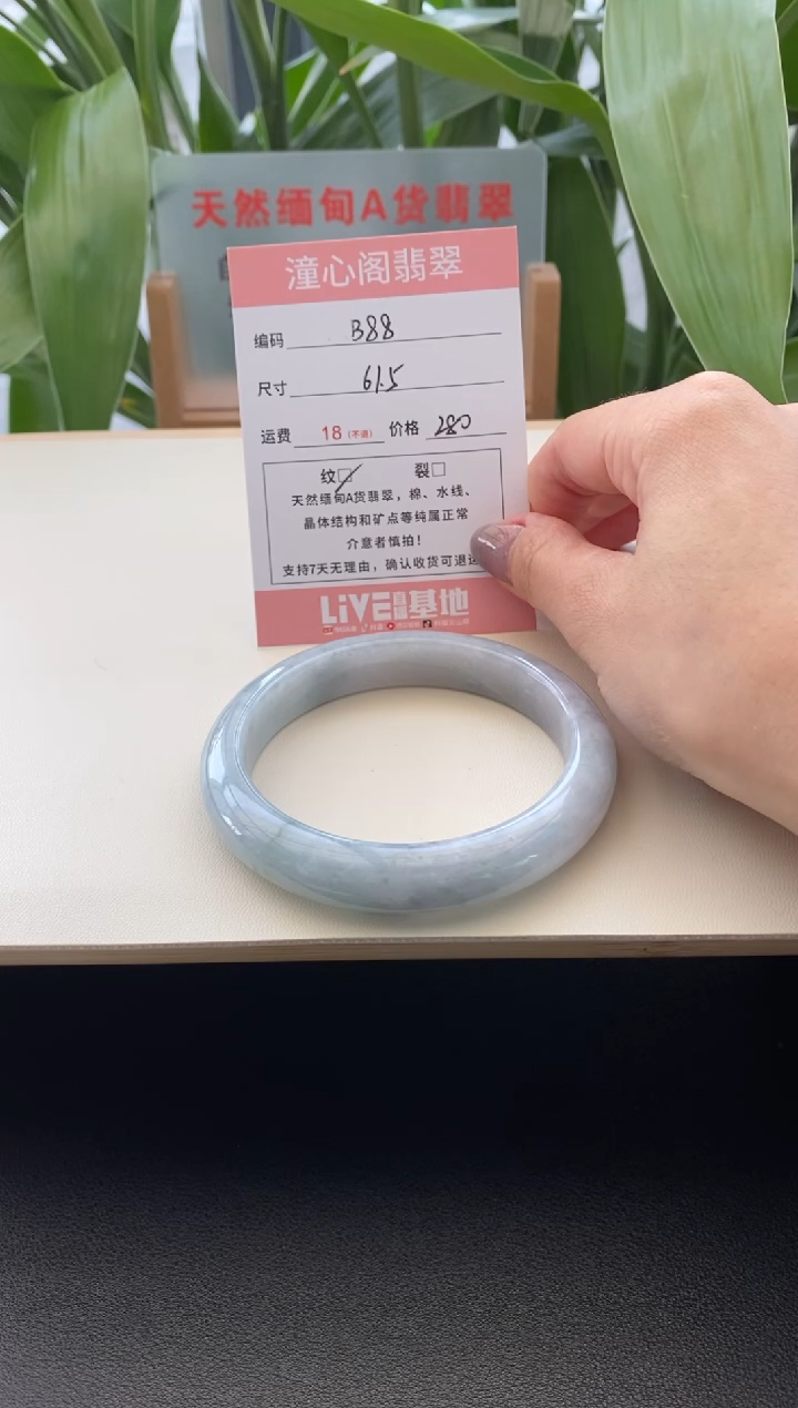 未镶嵌手镯翡翠61.5圈口b88