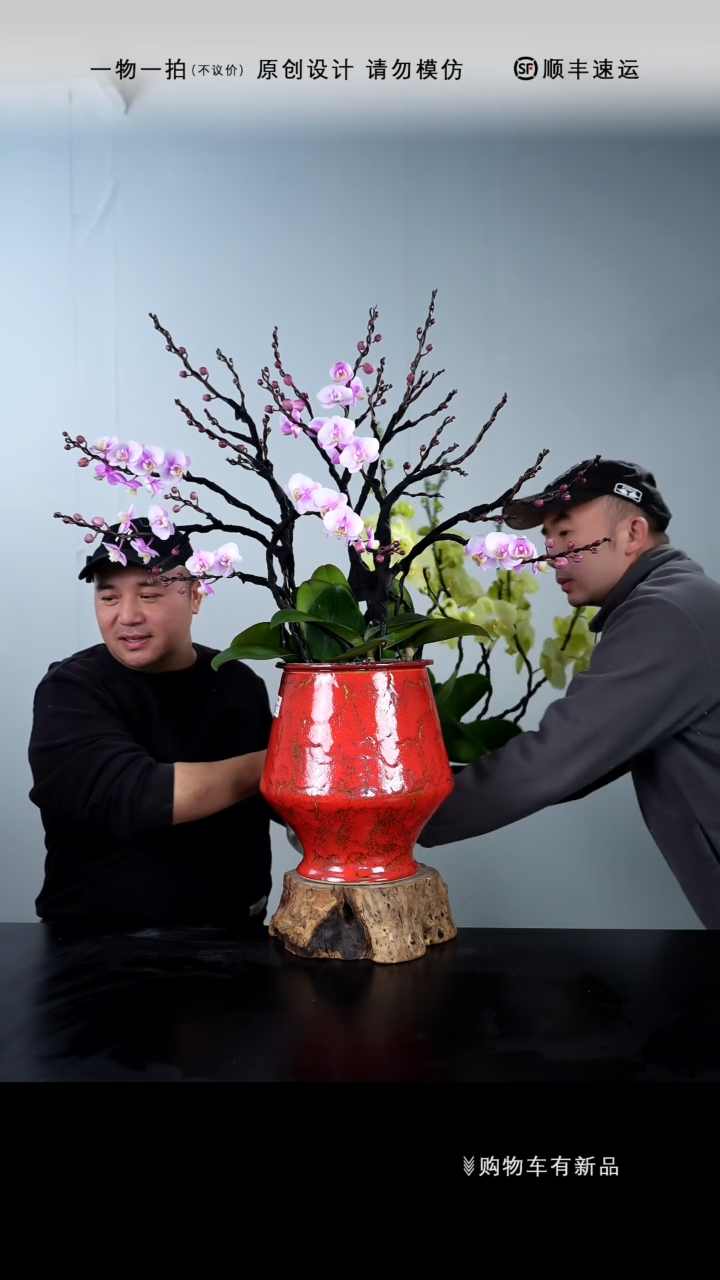 【闪购商品】023号链接【一物一拍】艺术盆景