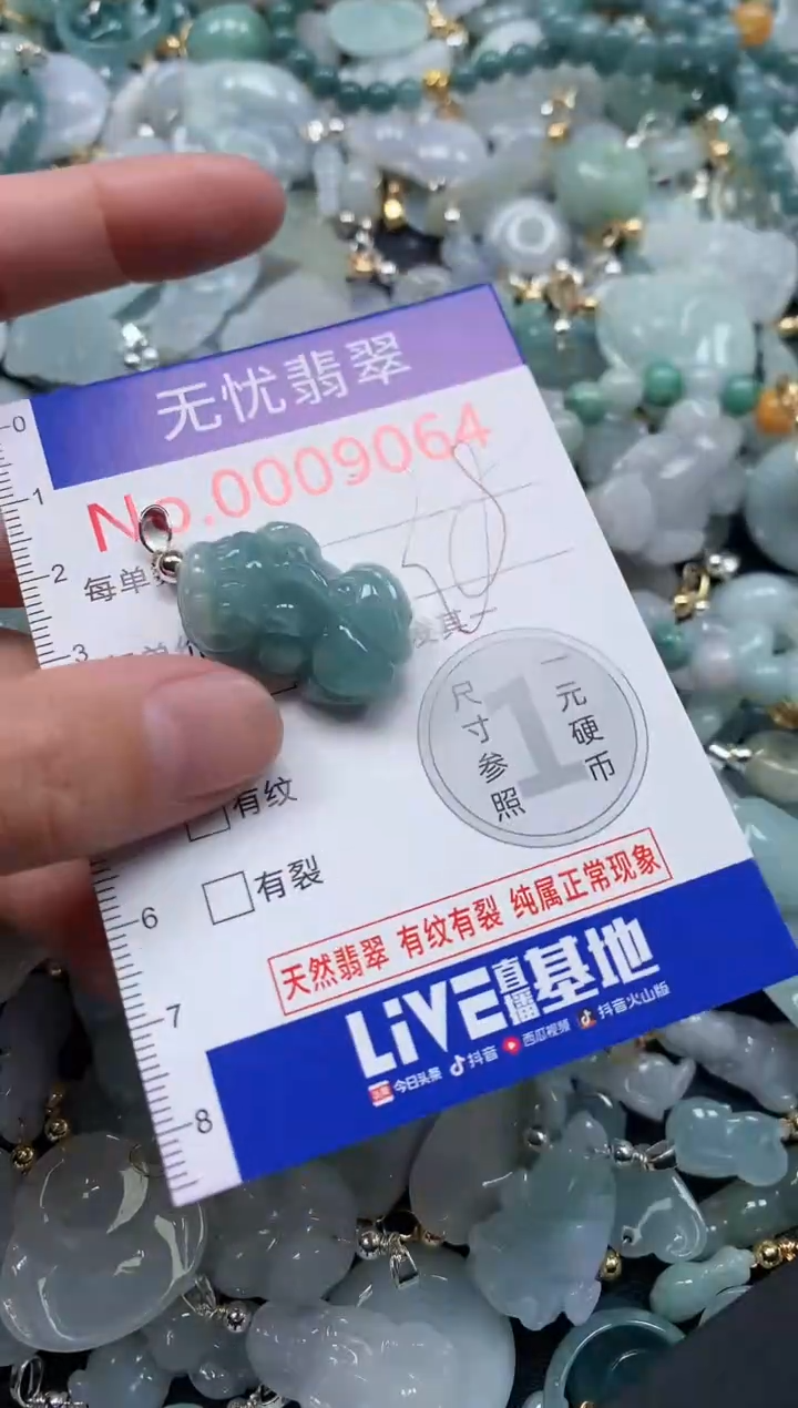 翡翠未镶嵌吊坠(不含链)9064