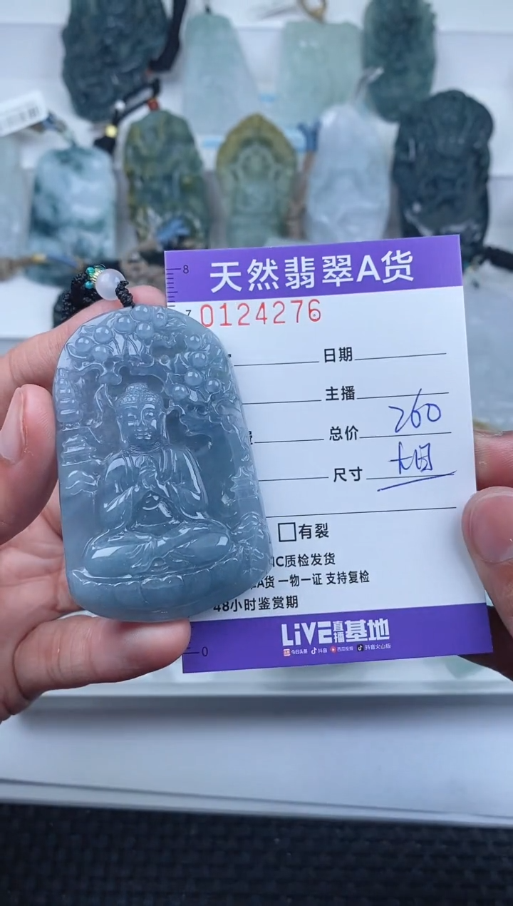 【闪购商品】翡翠颈饰未镶嵌         276