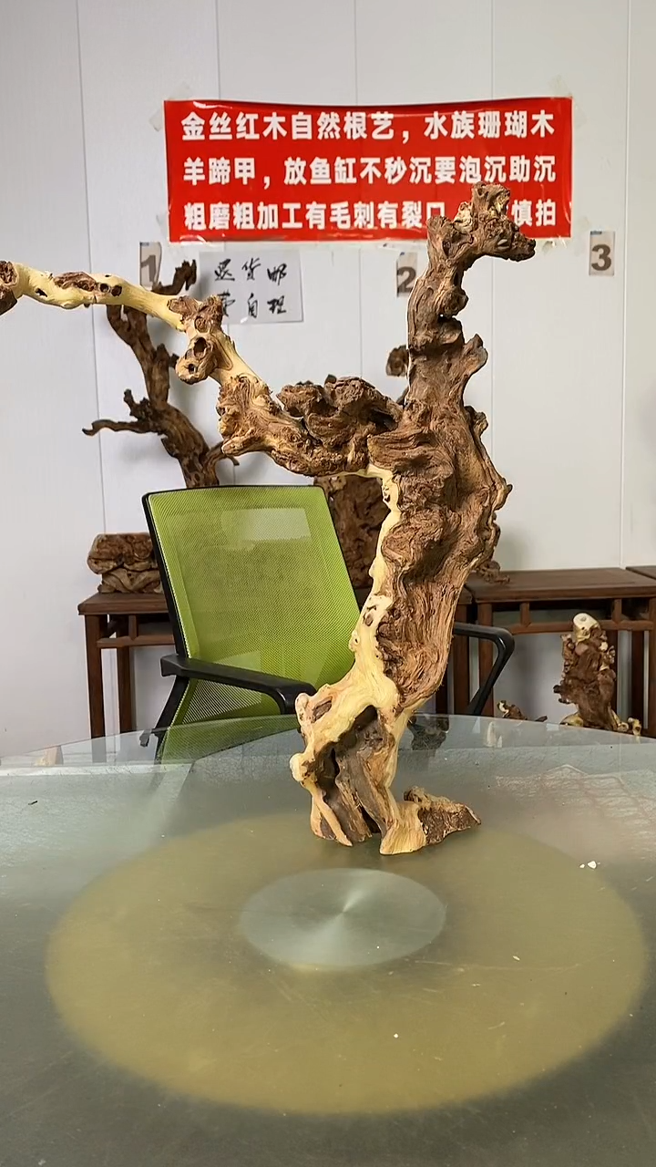 木辉*金丝红木  羊蹄甲