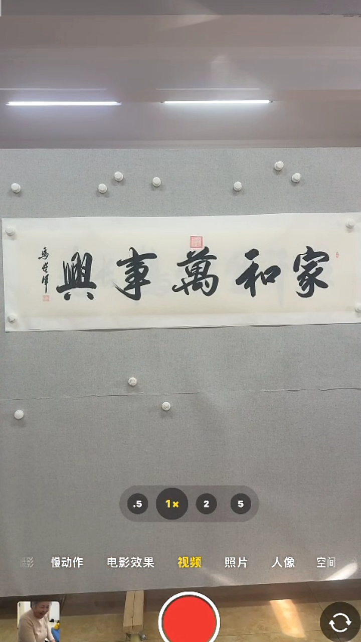 【闪购商品】书法-绘画-马贵军-4平尺书法