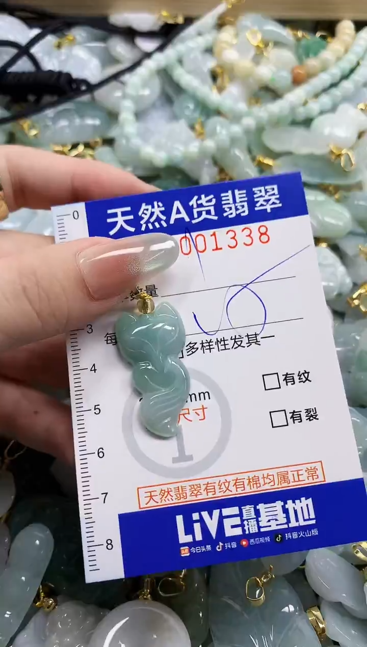颈饰未镶嵌翡翠天然A货翡翠