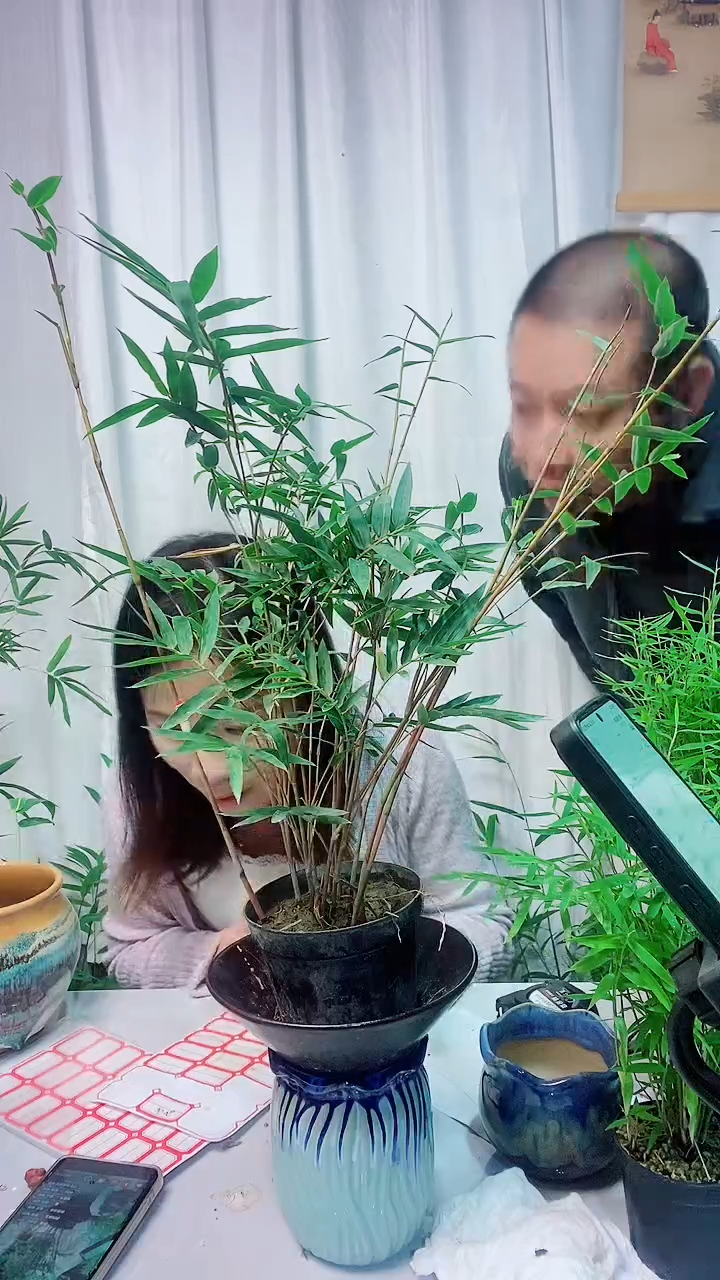 完全开放1111111111111