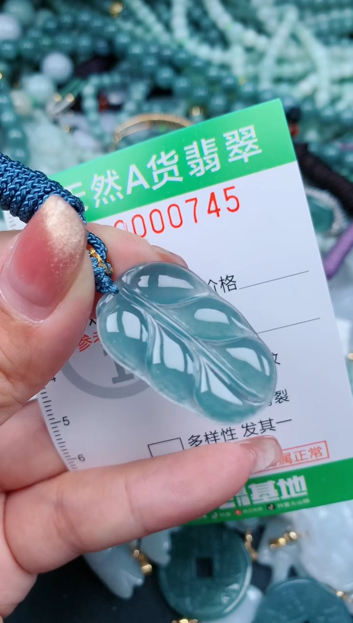【闪购商品】翡翠颈饰未镶嵌.0000745
