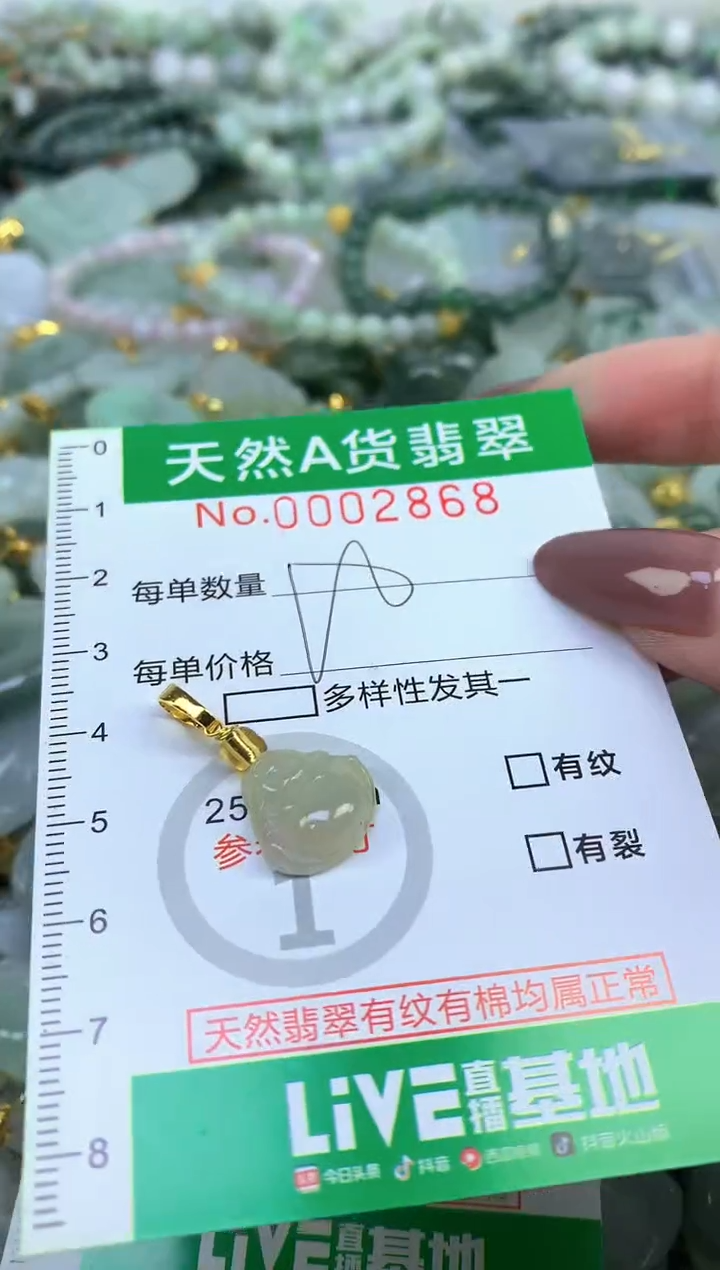 颈饰未镶嵌翡翠纯天然缅甸A货翡翠