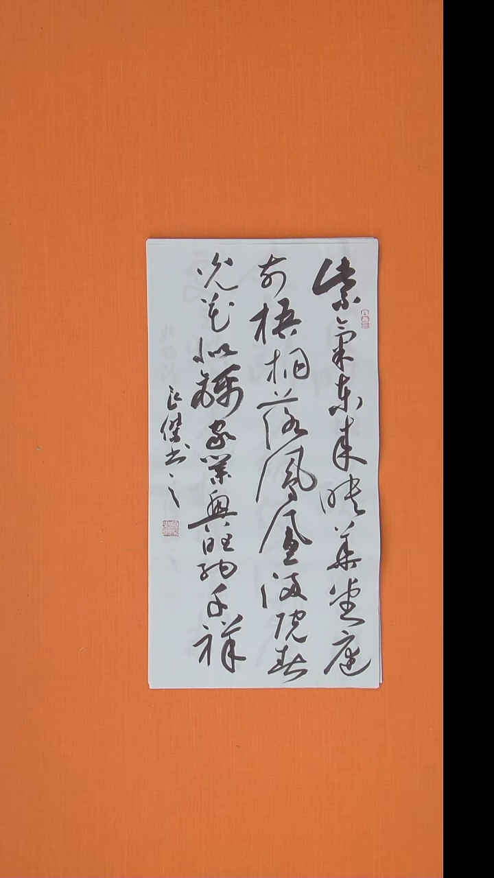 书法孙良杰老师精美书法68*34  10张