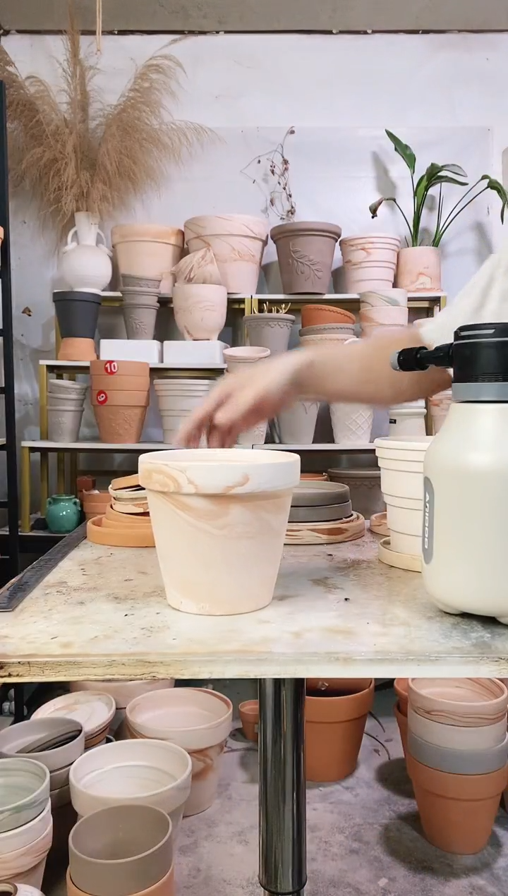 15*14玛奇朵 2盆无托