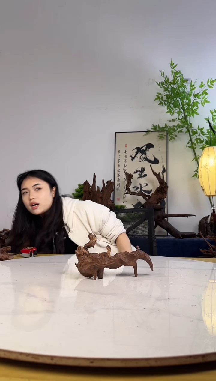 栖*拍沉木定向链接编号69