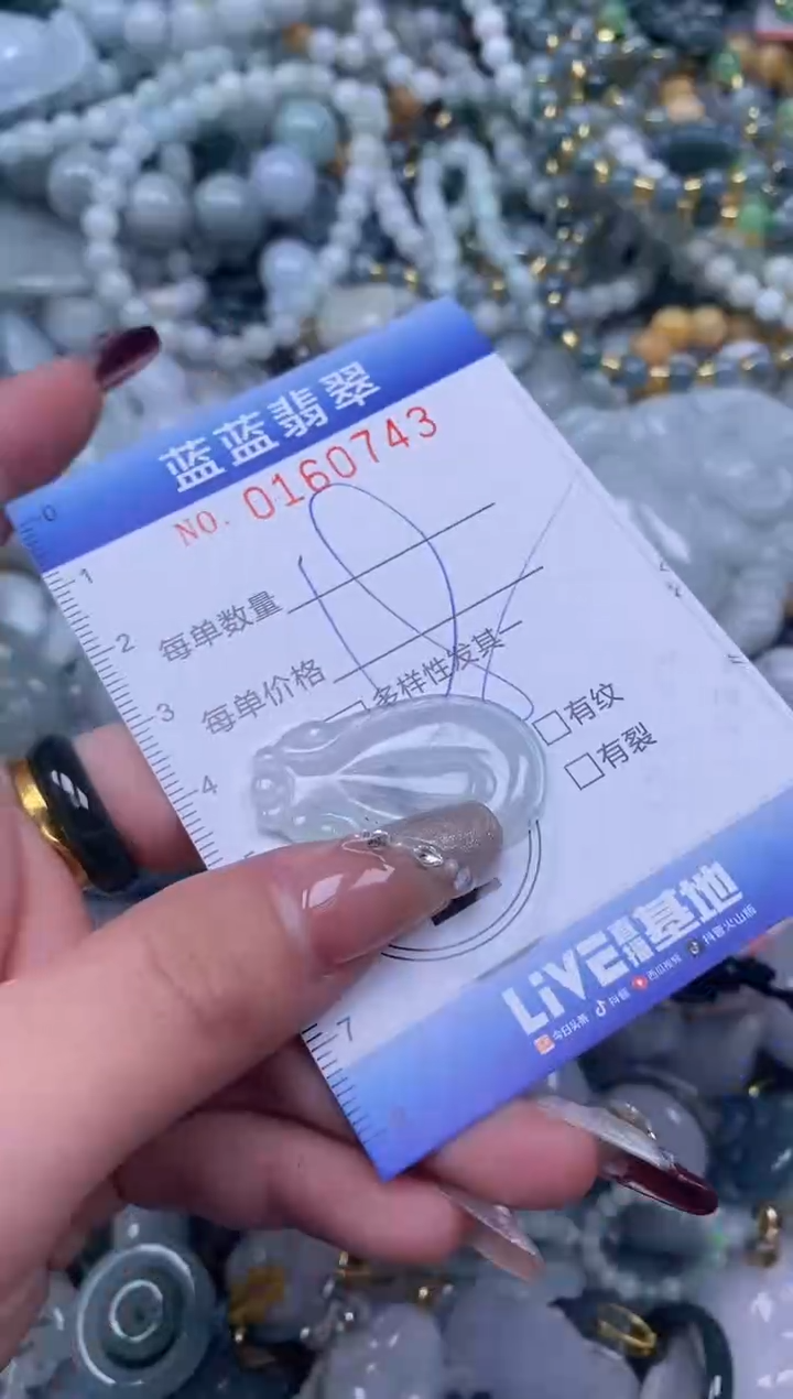 【闪购商品】翡翠颈饰未镶嵌闪购0160743